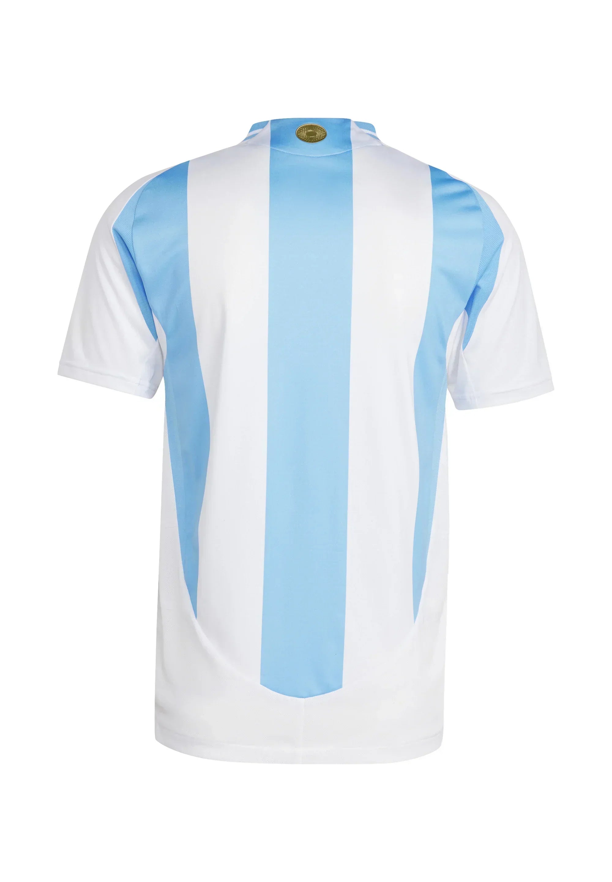 2024/2025 Argentina home kit
