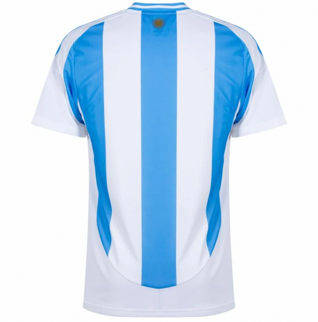 2024/2025 Argentina home kit